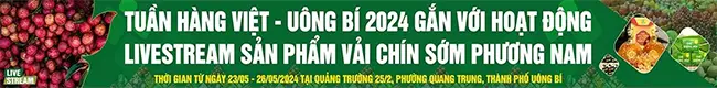 Tuần hàng Việt - Uông Bí 2024 gắn với hoạt động livestream sản phẩm vải chín sớm Phương Nam