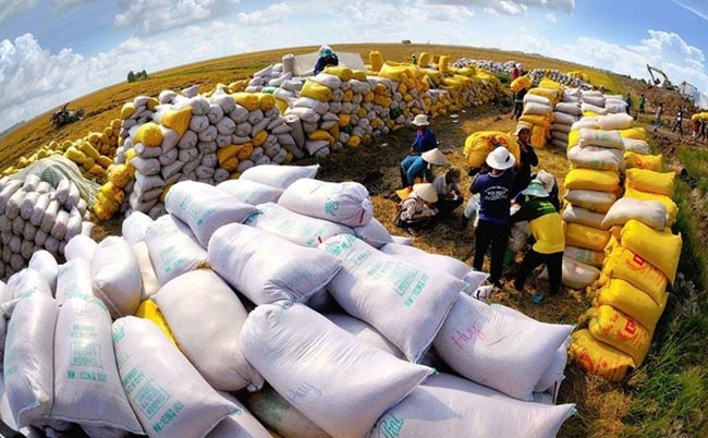 Xuất khẩu gạo của Việt Nam dự kiến lập kỷ lục 4 tỷ USD trong năm nay.