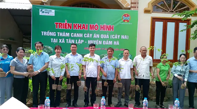 Bàn giao cây giống cho 4 hộ dân tham gia triển khai mô hình trồng na giai đoạn 1 tại thôn Thái Lập.