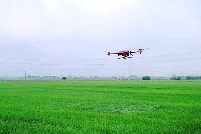 TX Đông Triều đưa thiết bị bay không người lái vào phục vụ sản xuất nông nghiệp. Ảnh tư liệu.